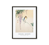 
              Ohara Koson - Wisteria and Swallow (ca. 1900)
            