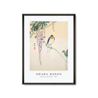 Ohara Koson - Wisteria and Swallow (ca. 1900)