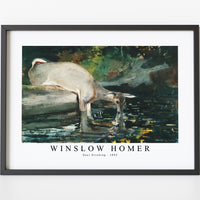 winslow homer - Deer Drinking-1892