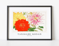 
              Tanigami Konan - Dahlia flower
            