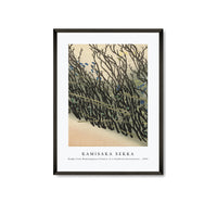 
              Kamisaka Sekka - Hedge from Momoyogusa–Flowers of a Hundred Generations (1909)
            