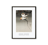
              Ohara Koson - Bohemian waxwing birds (1900-1930) by Ohara Koson (1877-1945)
            