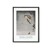 
              Ohara Koson - Buffalo wing shrike and spider (1900 - 1930) by Ohara Koson (1877-1945)
            