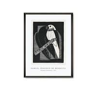 
              Samuel Jessurun De Mesquita - Parakeets (Parkieten) (1927)
            