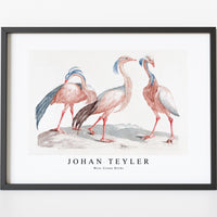 Johan Teyler - Miss Crane Birds