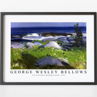 George Wesley Bellows - Vine Clad Shore, Monhegan Island 1913