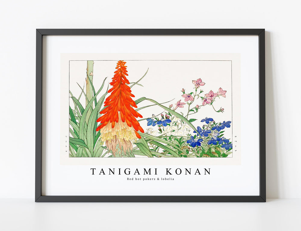 Tanigami Konan - Red hot pokers & lobelia