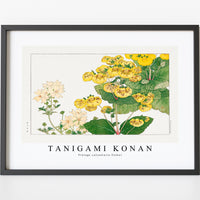 Tanigami Konan V intage calceolaria flower