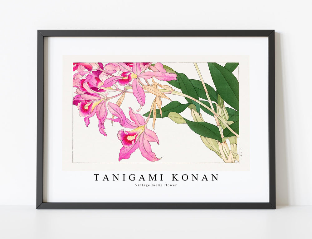 Tanigami Konan - Vintage laelia flower