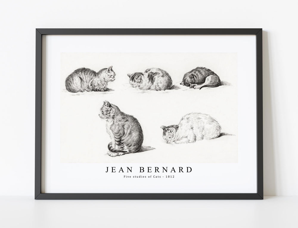 Jean Bernard - Five studies of Cats (1812)