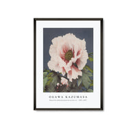 
              Ogawa Kazumasa - Beautiful photomechanical prints of (1887–1897)
            