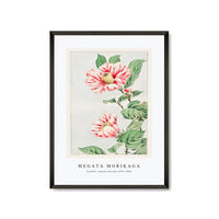 Megata Morikaga - Tsubaki camelia during 1870–1880