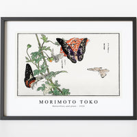 Morimoto Toko - Butterflies and plant illustration from Churui Gafu (1910)