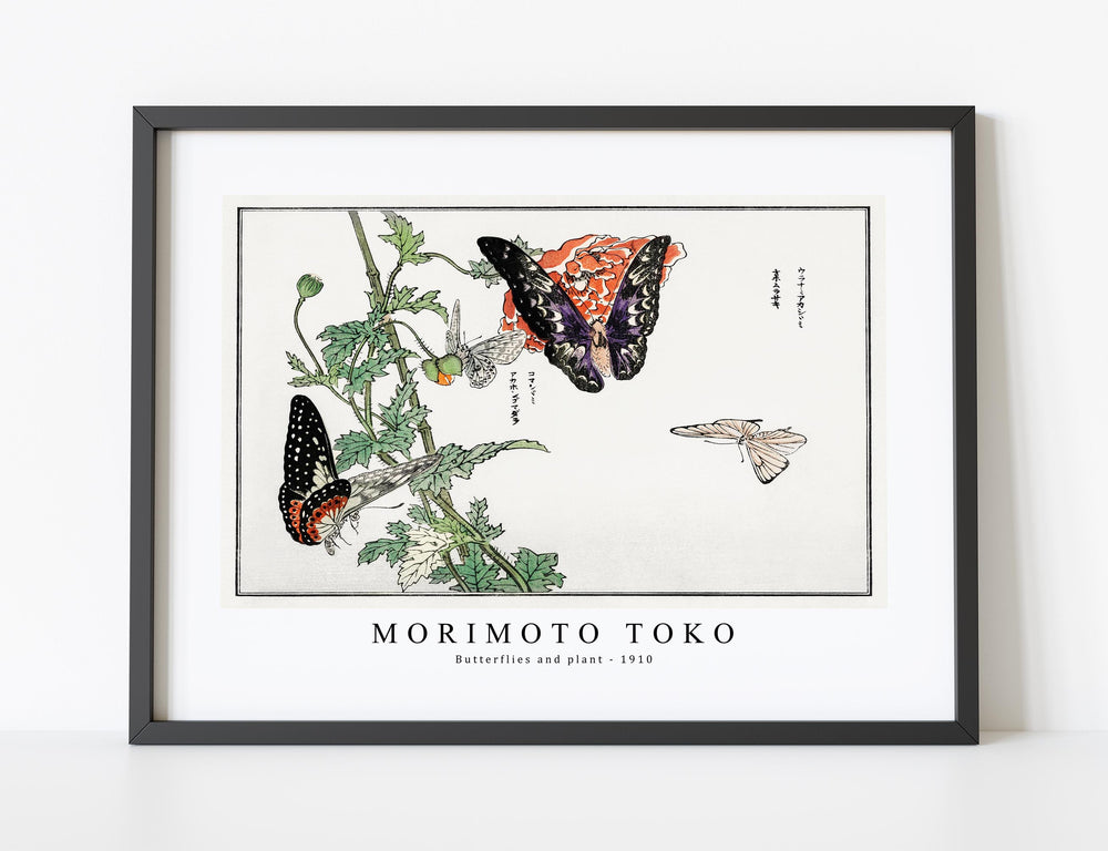 Morimoto Toko - Butterflies and plant illustration from Churui Gafu (1910)