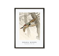 
              Ohara Koson - Flying pheasant (1900 - 1910) by Ohara Koson (1877-1945)
            