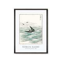 Numata Kashu - Riu Kiu House Swallow illustration from Pictorial Monograph of Birds (1885)