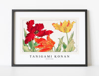 
              Tanigami Konan - Parrot tulip
            