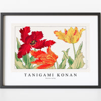Tanigami Konan - Parrot tulip