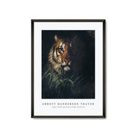 abbott handerson thayer - Tiger's Head painting in high resolution
