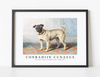 
              Conradijn Cunaues - Portrait of Edwin Vom Rath’s Pug 1880-1895
            