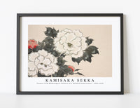 
              Kamisaka Sekka - Flowers from Momoyogusa–Flowers of a Hundred Generations (ca. 1909–1910)
            
