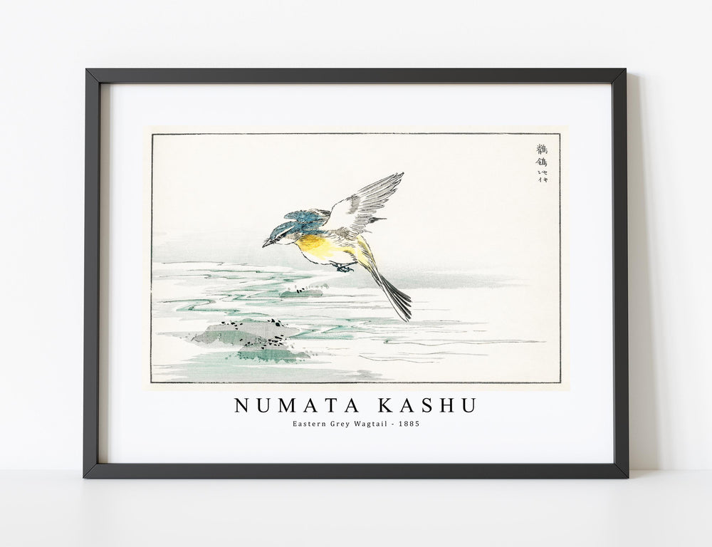 Numata Kashu - Eastern Grey Wagtail illustration from Pictorial Monograph of Birds (1885)