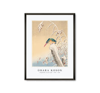 
              Ohara Koson - Kingfisher in the snow (1925 - 1936) by Ohara Koson (1877-1945)
            
