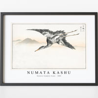 Numata Kashu - Eastern Common Crane illustration from Pictorial Monograph of Birds (1885)