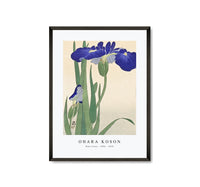 
              Ohara Koson - Blue Irises (1900 - 1930) by Ohara Koson (1877-1945)
            