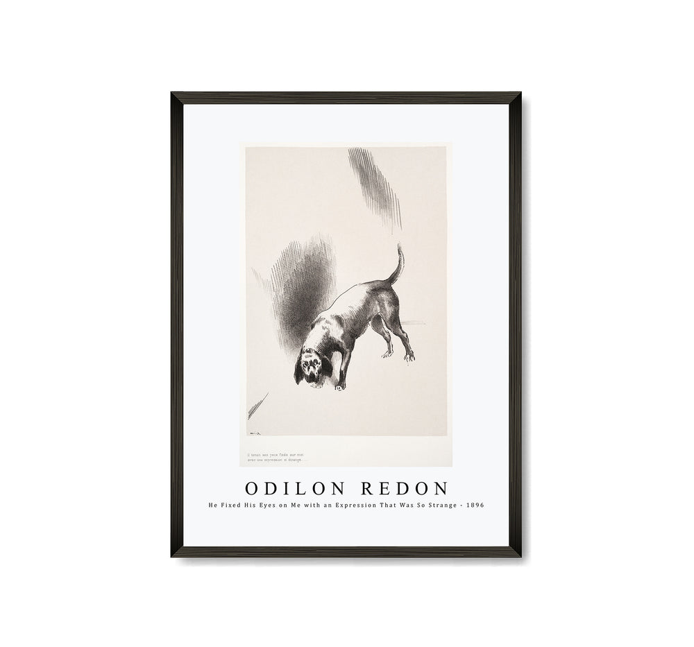 Odilon Redon - He Fixed His Eyes on Me with an Expression That Was So Strange 1896