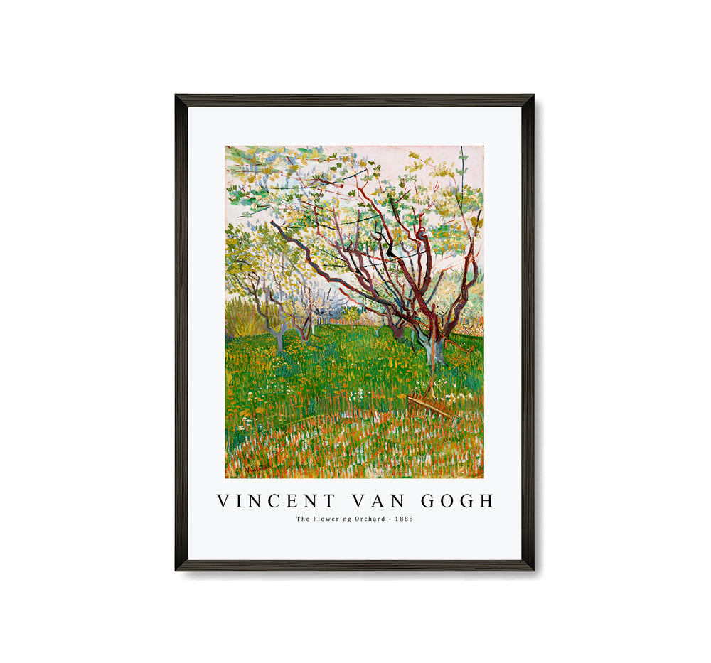 Vincent Van Gogh - The Flowering Orchard 1888