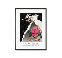 
              Ohara Koson - Siberian bluechat next to a peony (1925 - 1936) by Ohara Koson (1877-1945)
            