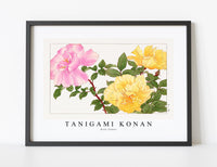 
              Tanigami Konan - Rose flower
            