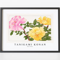 Tanigami Konan - Rose flower