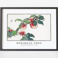 Morimoto Toko - Caterpillar on a peach tree illustration from Churui Gafu (1910)