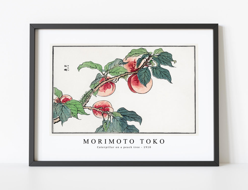 Morimoto Toko - Caterpillar on a peach tree illustration from Churui Gafu (1910)