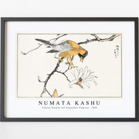 Numata Kashu - Tibetan Hoopoe and Osmanthus Fragrans illustration from Pictorial Monograph of Birds (1885)