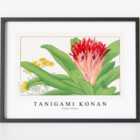 Tanigami Konan - Ananas flower