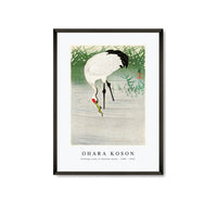 
              Ohara Koson - Fishing crane in shallow water (1900 - 1945) by Ohara Koson (1877-1945)
            
