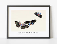 
              Kamisaka Sekka - Japanese butterfly (One Thousand Butterflies) - 1904 (5)
            