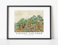 
              Vincent Van Gogh - The Olive Orchard 1889
            