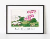 
              Tanigami Konan - Vintage primrose flower
            