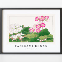 Tanigami Konan - Vintage primrose flower