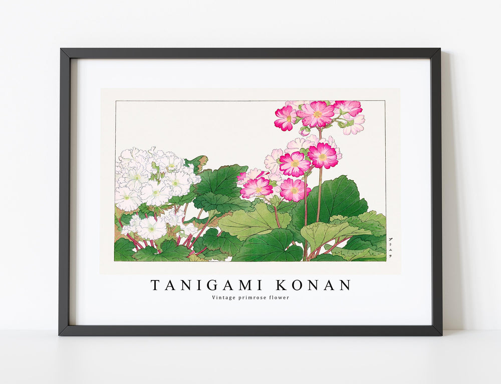 Tanigami Konan - Vintage primrose flower