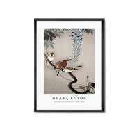 
              Ohara Koson - Ring sparrows at wisteria (1900 - 1936) by Ohara Koson (1877-1945)
            