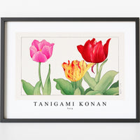 Tanigami Konan - Tulip