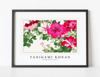 
              Tanigami Konan - Vintage petunia flower
            