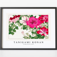 Tanigami Konan - Vintage petunia flower