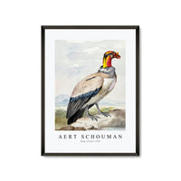 Aert schouman - King vulture-1758