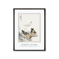Numata Kashu - Small Japanese Greenfinch and Shepherd's Purse illustration from Pictorial Monograph of Birds (1885)